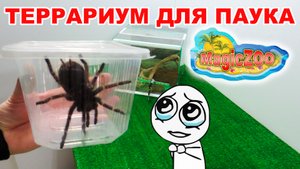 Как сделать террариум для паука птицееда. Террариум для паука своими руками. DIY.
