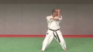 7. Naihanchi Wado Ryu