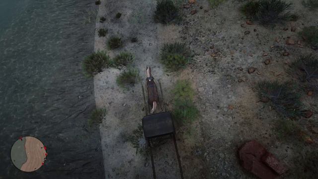 Артур Морган изучает жабу в Нью-Остине | Зоолог во 2 Главе | Red Dead Redemption 2
