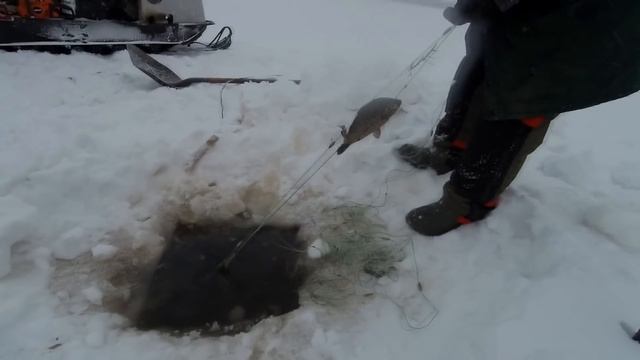 Зимняя рыбалка  на сети в Сибири в жуткий мороз!!!!