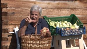 Голова садовая - Выбираем озимый лук