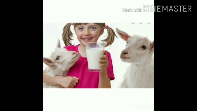 Технология 6 класс смотреть онлайн