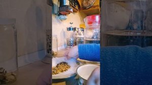 Проращивание травки для попугая.