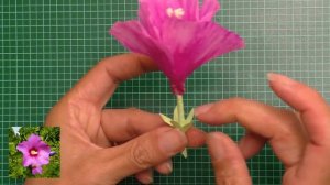 How to create Paper flowers like in the nature:  the rose of Sharon