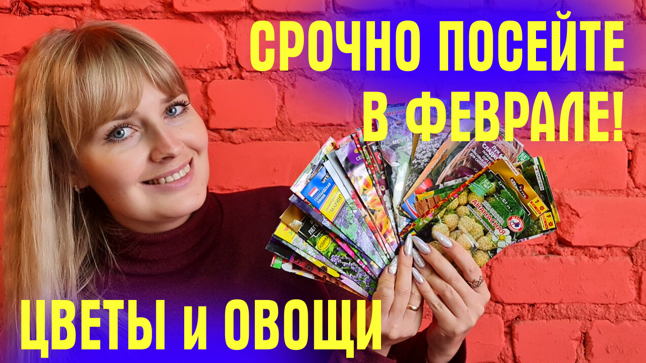 УСПЕЙТЕ ПОСЕЯТЬ В ФЕВРАЛЕ! Цветы и овощи! БОЛЬШОЙ ОБЗОР!