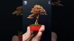 Top 10 Amazing DIY Ideas - How To Make Bonsai Tree Wire Copper