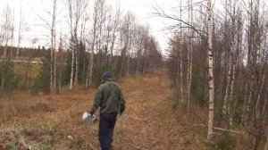 ОБЗОР Часть вторая Ямал Поселок Пурпе Сбор ягод Брусника Клюква Черника Губкинский Ноябрьск 2020.