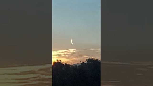 Неопознанная в мире. Неопознанная в мире