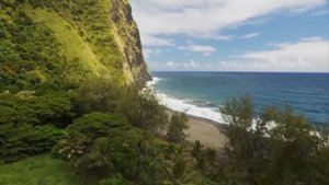 Michelle Simonal - This is What You Come For (by JJc)