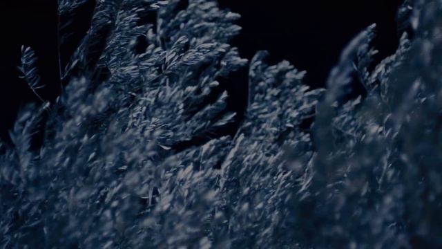 Инҷили Марқӯс, боби 14 | Евангелие от Марка на таджикском языке, глава 14 смотреть онлайн