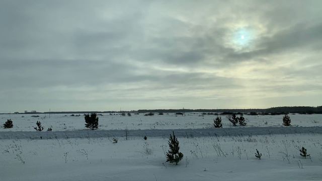 251..♫ ."КУДА БЕЖИШЬ ТРОПИНКА МИЛАЯ" , песня написана в 1953 году
