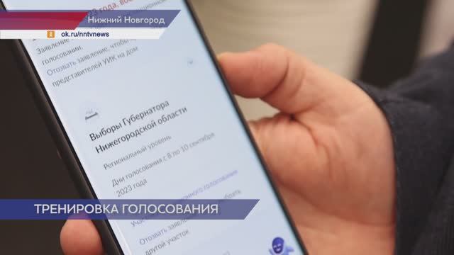 Тренировка по дистанционному электронному голосованию