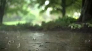 Мухаммад абу Усама:" Нововедения"