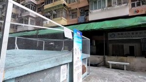 The reality of living in Hong Kong's densest apartments | Instagram Famous "Monster Building"