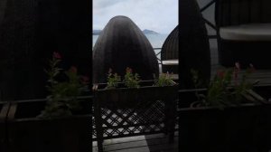 Не ходите сюда!!! По правую сторону  (если стоять к отелю задом) от отеля liking Resort Sanya 4