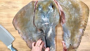 Шашлык из СКАТА | Шашлык из МОРСКОЙ ЛИСИЦЫ | ДОМОЕД