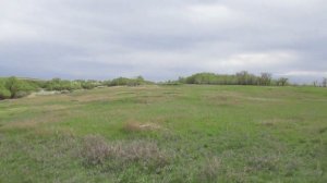 Опустевший хутор Шаулы (Ащеулов), Саратовский район