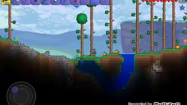 Играем в террарию за #СТРЕЛКА# Мозга Ктулху нет и Глаза Ктулху смотреть онлайн