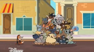 Зип Зип 41  Испытание  Часть 1