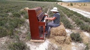 #крым Лавандовая Ферма .Лаванда отцвела.Пианино остались.Сыграем!?КРЫМ. июль 2022