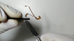 Err 01 Canon 24-70 usm ii. Меняем шлейф.