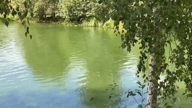 НОВЫЕ БАЙКИ ОТ ПИРАТКИ. ПИРАТСКАЯ ЖИЗНЬ.