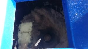 АПР 37: просечка гигиенических средств