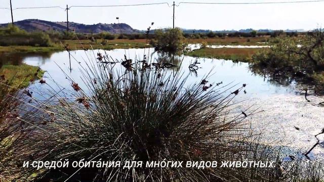 РКИ #Learn and practice your Russian #Тема природа+ словарь.Экскурсия по Греции.Часть 3.#уровень В1 смотреть онлайн