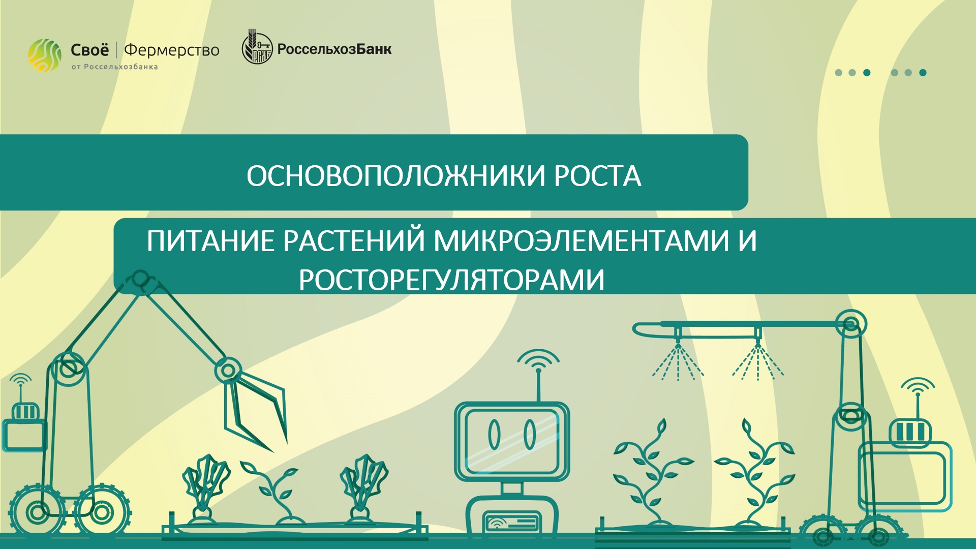 Основоположники роста: питание растений микроэлементами и росторегуляторами