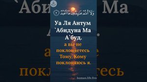 Сура Аль-Кафирун109/Surah Al-Kafirun109/سوره الکافرون