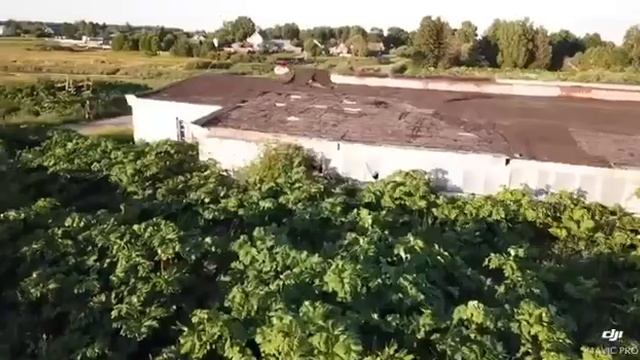 обработка борщевика дроном смотреть онлайн