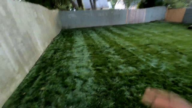 5 Day Procare Lawn Fertilizer| Brown Spot Update смотреть онлайн