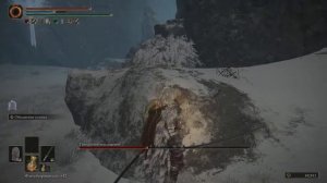 Elden Ring прохождение боссов : 157. Гнилостное воплощение (ч.2)