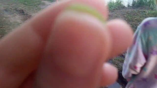 VLOG:Нашли утку.Укусила оса.Гидроцикл