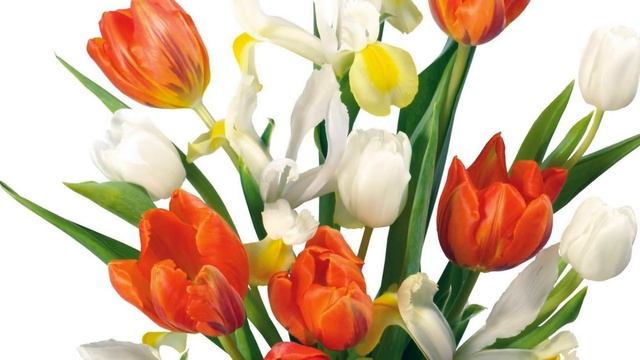 С Днём весны! 8 Марта! Поздравляю с Международным женским днем! Март Весна Пожелания смотреть онлайн