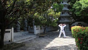 Goju Ryu karate-do. Sensei Aleksandr Grib. Kururunfa kata in the Chinese park in Okinawa, 2017.