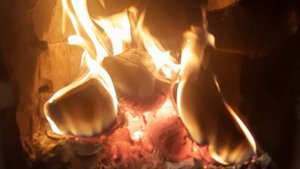 Как заяц море переплыл