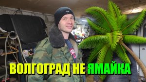 Разбираем мотор от УАЗ буханка| стук в двигателе| ремонт