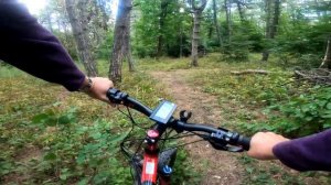 Электровелосипед С Кареточным Мотором Bafang видео 002