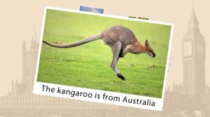 9.  Английский язык - 3 класс - Домашние и дикие животные Лексика (Остальные уроки в плейлисте)