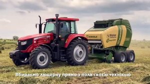 Гранулы из люцерны