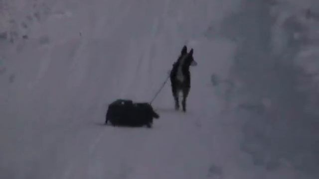 Зимние радости ( Старые фильмы)