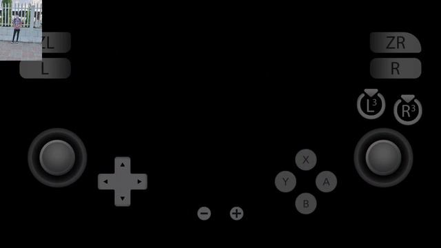 Hollow Knight en Emulador yuzu para Android (poco x3 pro) смотреть онлайн