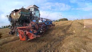 Уборка 2020. Вид со старого Енисея. Продолжаем молотить овес.