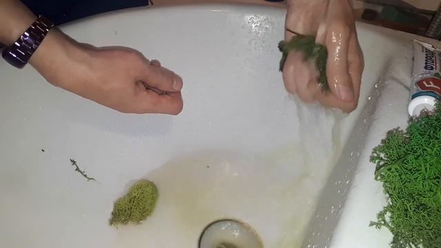 Можно ли мыть стабилизированный мох