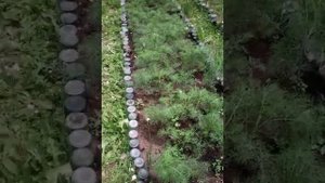 грядки из стеклянных бутылок навечно