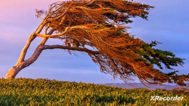 Погода . Как сделать радугу дома? Круговорот воды в природе! смотреть онлайн