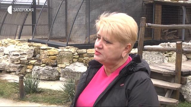 Новини - Нова домівка для циркових левів - 24.01.2020 смотреть онлайн