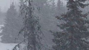 СОН В ЗИМНЮЮ НОЧЬ | Шатун | Крипи-сериал | Серия 2 | Черный Рик