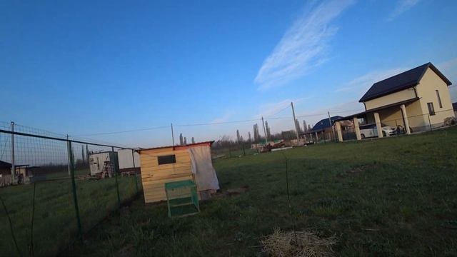 Печем куличи. Христос Воскресе! Как гусята переночевали в домике смотреть онлайн